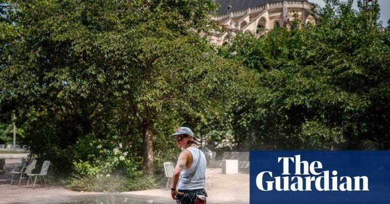 Europe’s heatwave drives electricity prices to new highs as demand soars | Energy industry