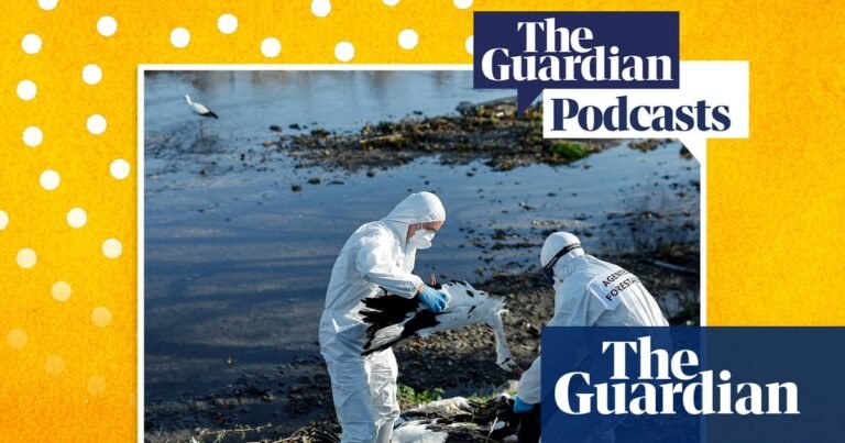 How worried should we be about bird flu? – Full Story podcast | Bird flu