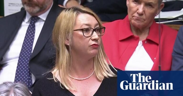Labour MP sues Elon Musk’s xAI company over fake sexualised images | Grok AI Labour MP sues Elon Musk’s xAI company over fake sexualised images | Grok AI