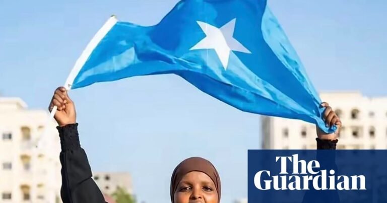 Outrage as woman jailed for three years after criticising Somali government online | Global development