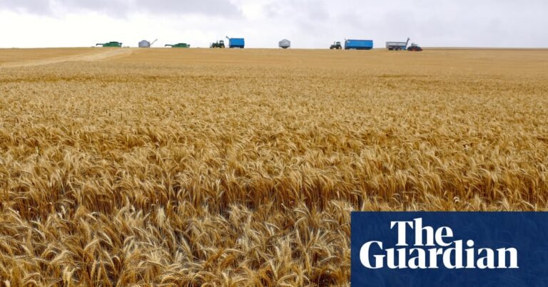 Paraquat will continue to be used in Australia despite 70 countries banning weedkiller over Parkinson’s disease fears | Herbicides
