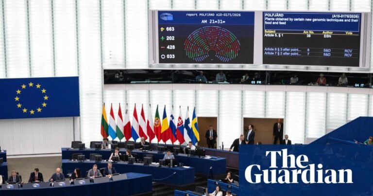 Rightwing MEPs chant ‘send them back’ after controversial deportation plans are passed – video | Europe Rightwing MEPs chant 'send them back' after controversial deportation plans are passed – video | Europe