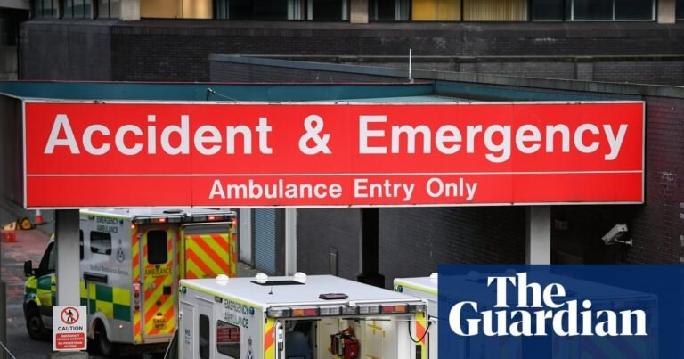 Shared NHS patient records could cut 20,000 A&E visits a year, ministers claim | NHS