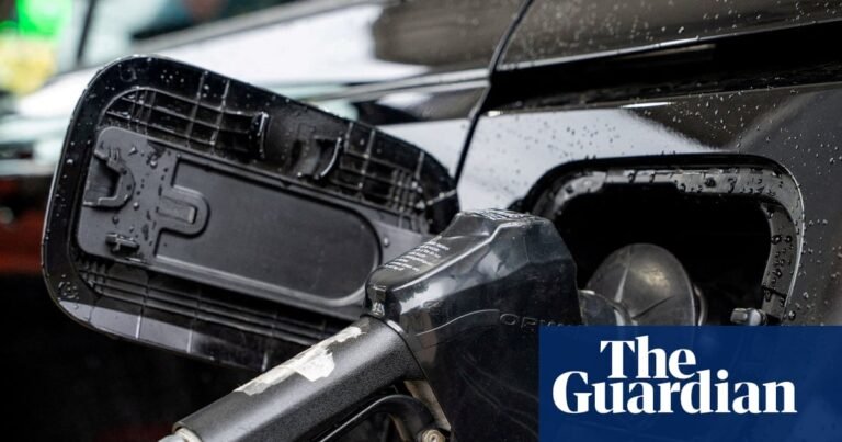 Trump says he’s ordered investigation into oil companies over alleged price gouging | Donald Trump Trump says he’s ordered investigation into oil companies over alleged price gouging | Donald Trump