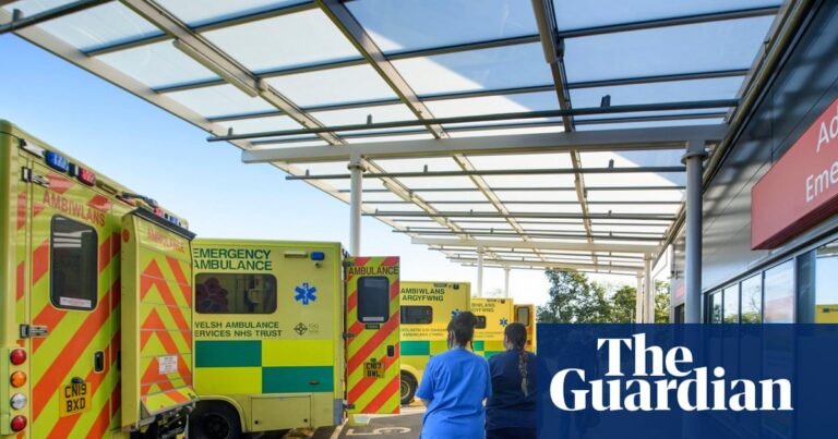 UK government urged to act on ‘devastating’ impact of heatwaves | Extreme heat