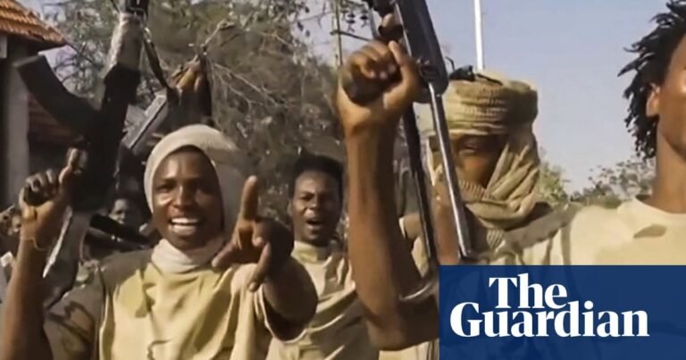 UK prioritised ties with UAE over averting mass atrocities in Sudan, MPs to be told | Global development