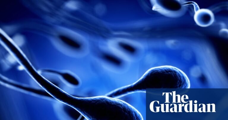 Air pollution linked to DNA changes in sperm, research shows | Genetics Air pollution linked to DNA changes in sperm, research shows | Genetics