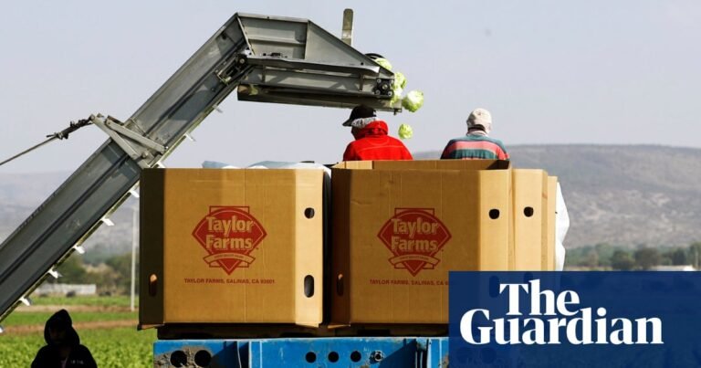 Cyclospora: iceberg lettuce recalled in 27 states and more products may follow | US news Cyclospora: iceberg lettuce recalled in 27 states and more products may follow | US news