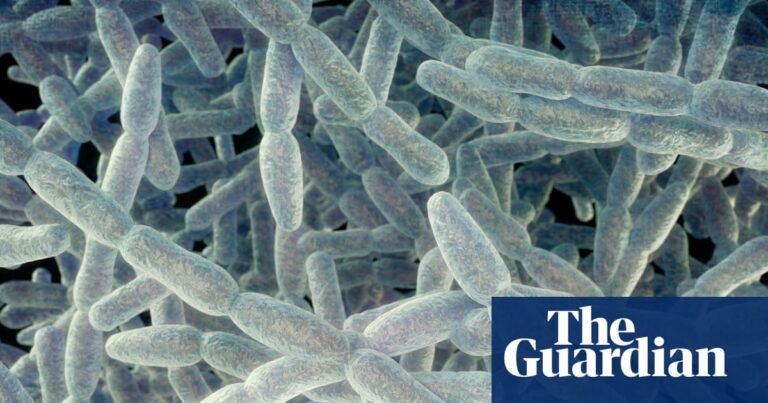 Fifth person dies in New York City amid legionnaires’ disease outbreak | US news
