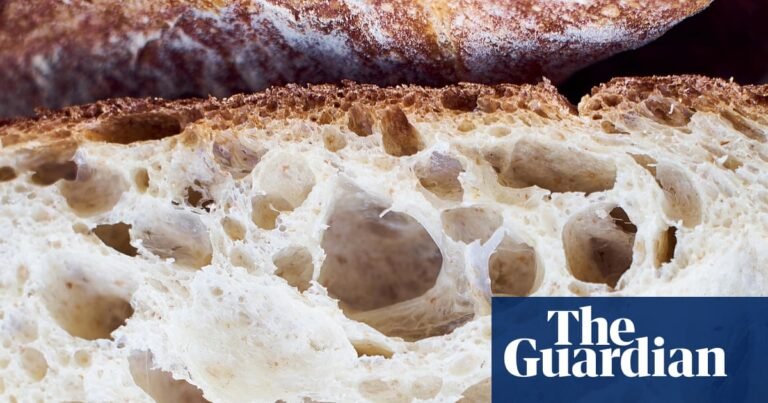 From the archive: Flour power: meet the bread heads baking a better loaf – podcast | Bread