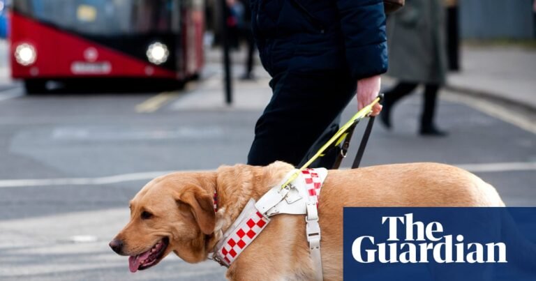 Guide dog owners face everyday ignorance | Disability