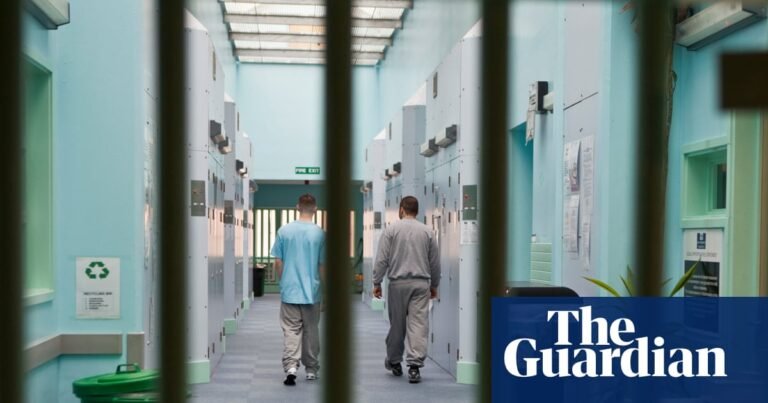 I’ve seen first-hand how to divert children away from lives of crime | Youth justice I’ve seen first-hand how to divert children away from lives of crime | Youth justice