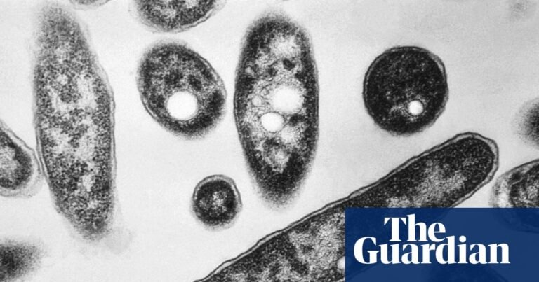 Legionnaires’ outbreak rocks New York as experts warn of rising climate threat | New York Legionnaires’ outbreak rocks New York as experts warn of rising climate threat | New York