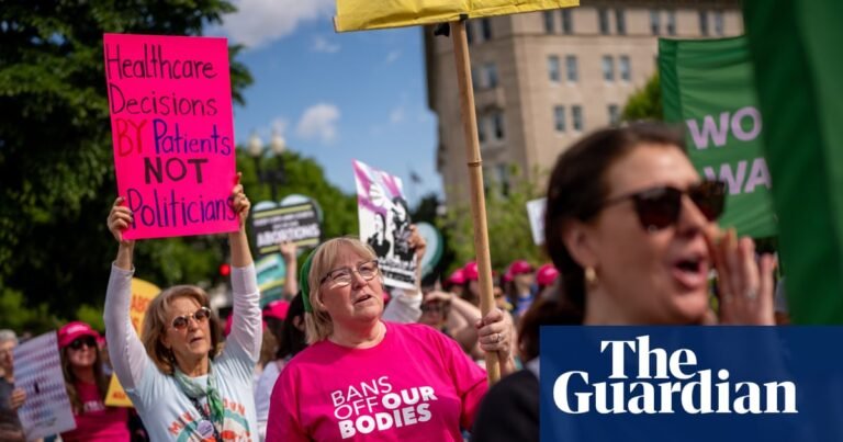 One of strictest US abortion bans could be overturned in November’s election | Idaho