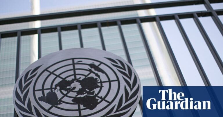 Rapid spread of AI may worsen global inequality, UN warns | AI (artificial intelligence)