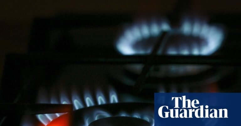 Replacing gas stove can help asthmatics as much as some drugs, US experts find | Asthma Replacing gas stove can help asthmatics as much as some drugs, US experts find | Asthma