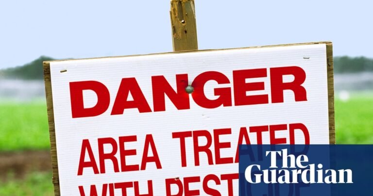US Food and Drug Administration rejects petition to set Pfas limits in food | US news US Food and Drug Administration rejects petition to set Pfas limits in food | US news