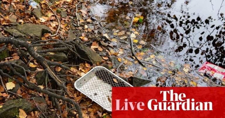 Burnham urges retailers to stop selling disposable barbecues after emergency Cobra meeting – UK politics live | Politics Burnham urges retailers to stop selling disposable barbecues after emergency Cobra meeting – UK politics live | Politics