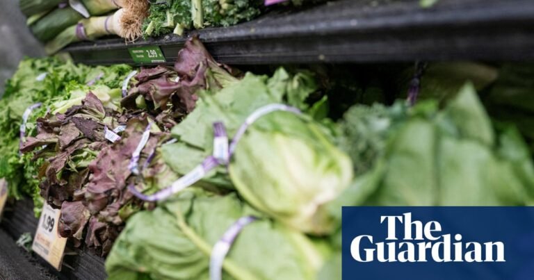 CDC reportedly expands US cyclosporiasis outbreak to 15 states | US news CDC reportedly expands US cyclosporiasis outbreak to 15 states | US news