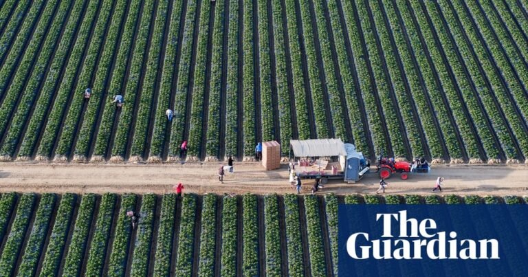 California bans paraquat, highly toxic herbicide outlawed in more than 70 countries | California