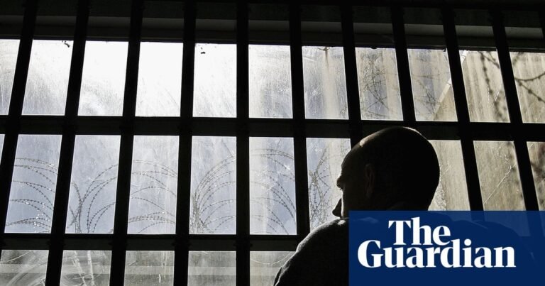Chemical suppression: why the UK is exploring libido control drugs to treat sex offenders | Crime Chemical suppression: why the UK is exploring libido control drugs to treat sex offenders | Crime