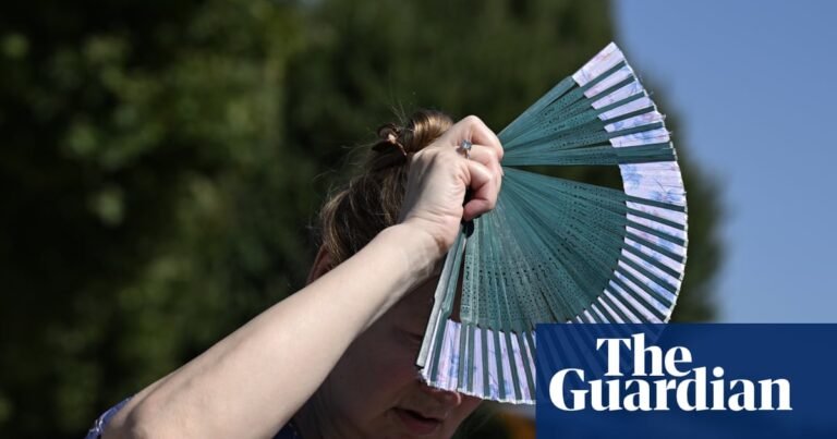Europe’s heatwaves threaten insurers’ earnings, rating agency S&P says | Insurance industry Europe’s heatwaves threaten insurers’ earnings, rating agency S&P says | Insurance industry