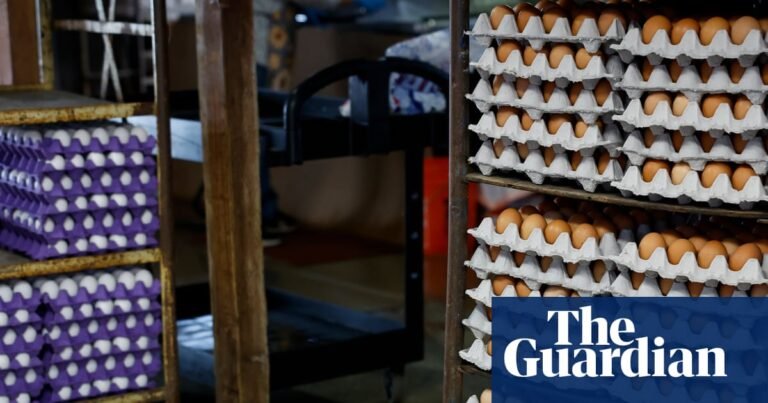 Massive egg recall in US south and south-west due to salmonella outbreak | US news