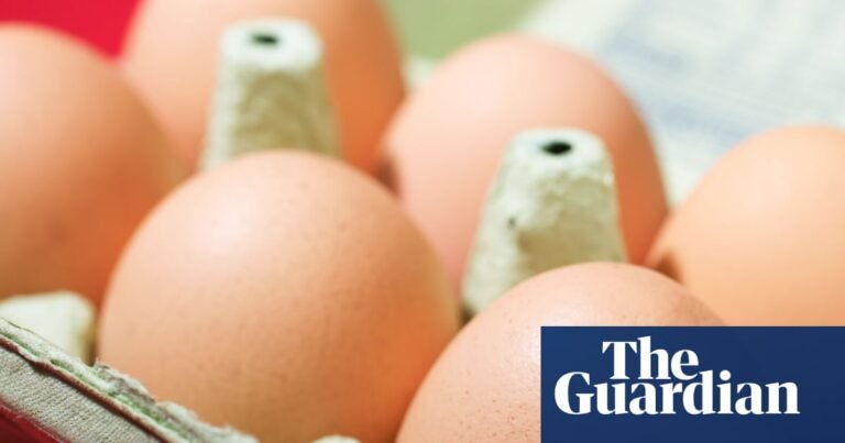 One person dead and more than 200 ill in UK salmonella outbreak | Health One person dead and more than 200 ill in UK salmonella outbreak | Health