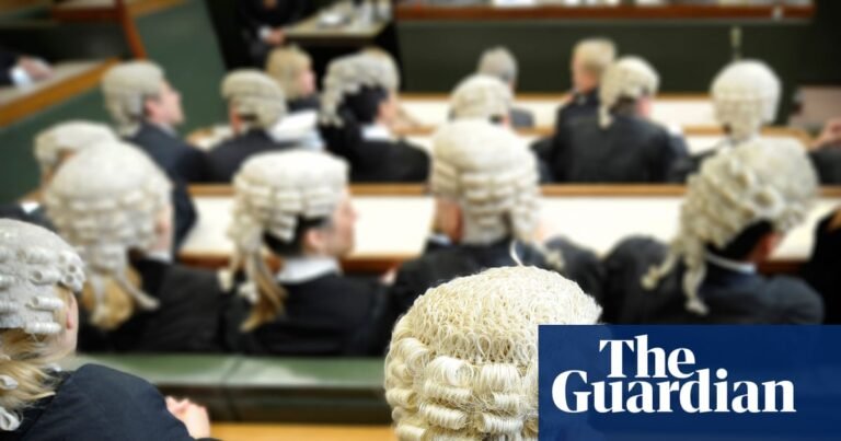 Politicians shouldn’t weigh in on individual criminal cases | UK criminal justice