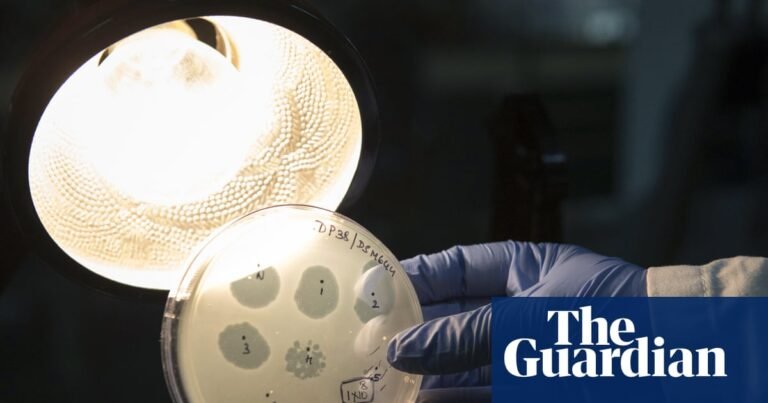 Safety fears as scientists make first viruses designed by AI | Science Safety fears as scientists make first viruses designed by AI | Science