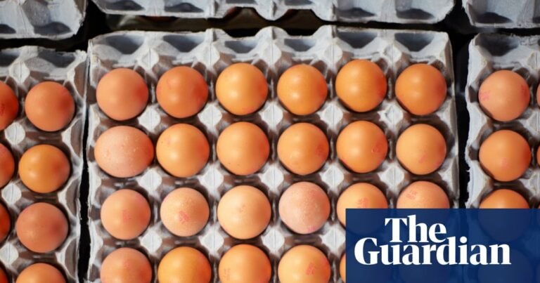 Salmonella cases in UK likely to rise until source of outbreak is found | Eggs