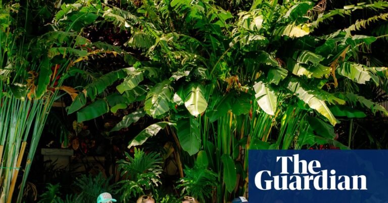 The great British switch-off: how floating retreats, mobile-free pubs and sauna book groups are liberating people from their phones | Smartphones The great British switch-off: how floating retreats, mobile-free pubs and sauna book groups are liberating people from their phones | Smartphones