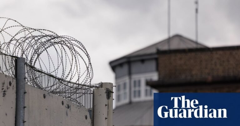 Thousands of sex offenders in England and Wales could get libido-suppressing drugs | Prisons and probation