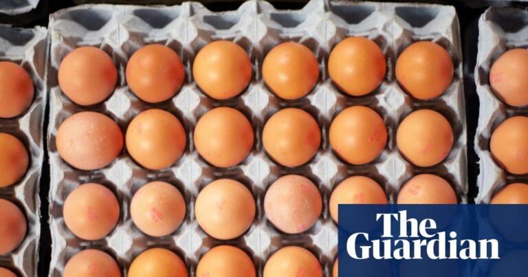 What is salmonella, how does it spread and are eggs safe to eat? | Health