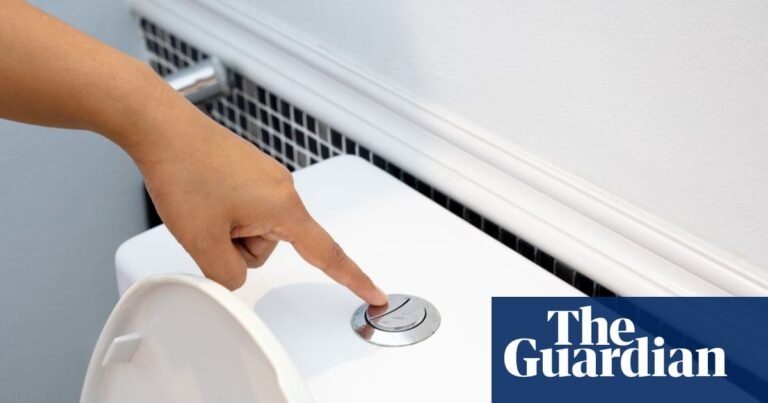 Flushing the toilet can release a ‘plume’ of breathable pathogens – and closing the lid won’t stop their escape | Australia news