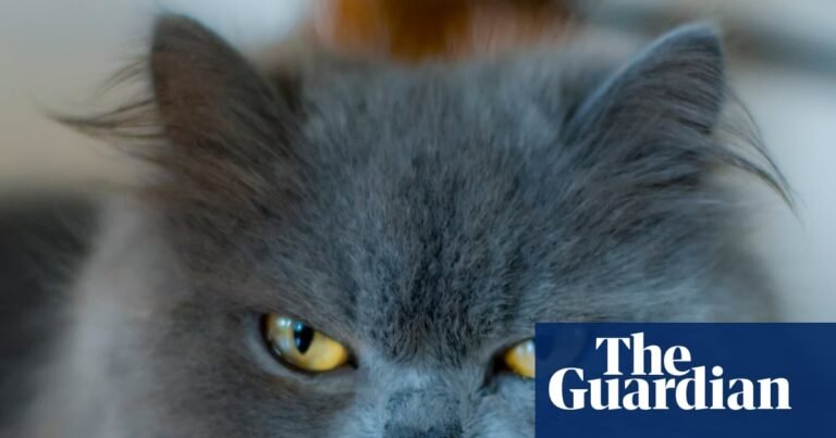 If looks could kill, I’d be in real trouble | Social etiquette If looks could kill, I’d be in real trouble | Social etiquette