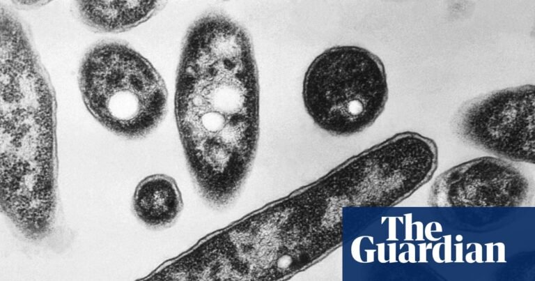 Legionnaires’ disease outbreak kills one and infects others in the South Bronx | New York
