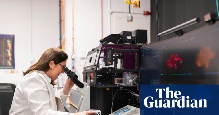Researchers hope powerful new microscope will reveal ‘root cause’ of incurable bowel disease | Health Researchers hope powerful new microscope will reveal ‘root cause’ of incurable bowel disease | Health