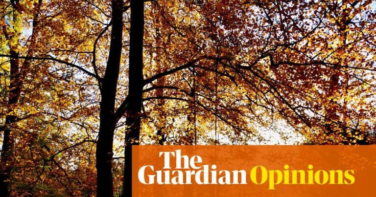 The September reset is real. I’m about to become a better person, flaxseed by flaxseed | Emma Brockes The September reset is real. I’m about to become a better person, flaxseed by flaxseed | Emma Brockes