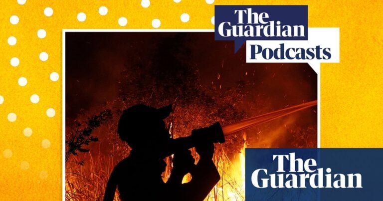 The ‘apex predator’ of fires choking south-east Asia – Full Story podcast | Indonesia The ‘apex predator’ of fires choking south-east Asia – Full Story podcast | Indonesia