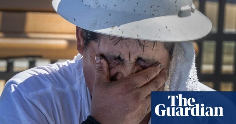 ‘Your body fights to stay cool’: workers toil in record heat as federal rule frozen | Extreme heat ‘Your body fights to stay cool’: workers toil in record heat as federal rule frozen | Extreme heat